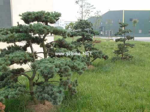 &#20048;&#40060;&#25163;&#26426;&#31449;&#20837;&#21475;&#45;&#20048;&#40060;&#111;&#110;&#108;&#105;&#110;&#101;&#40;&#20013;&#22269;&#41;